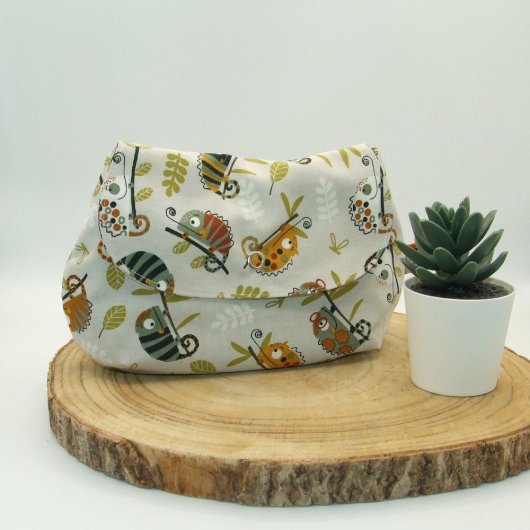 Pochette caméléons